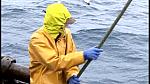 TRAWLERMEN3-055