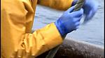 TRAWLERMEN3-056