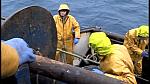 TRAWLERMEN3-058