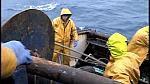 TRAWLERMEN3-059