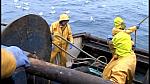 TRAWLERMEN3-060