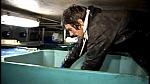 TRAWLERMEN3-083
