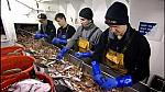 Trawlermen-52