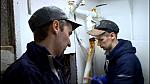 Trawlermen-57