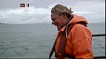Islands 29