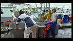 Sea Rescue 078