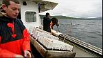 fishin 15