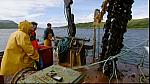 fishin 22