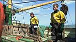 Sea Patrol 0210