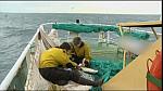 sea patrol 0023