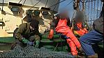 sea patrol 0109
