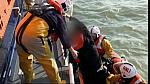sea patrol 0149