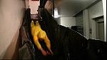 TFI yellow 02