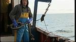 Harbour 2 34