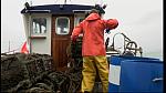 Harbour 2 42