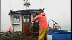 Harbour 2 46