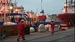 Harbour 07