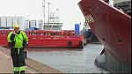 Harbour 19