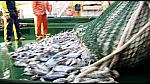 Trawlers Rigs and Rescues