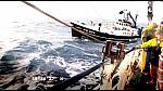 TRR02024