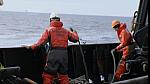 whale wars 0128