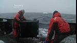 whale wars 0212