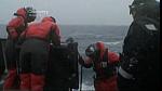 whale wars 0213
