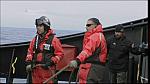 whale wars 0314