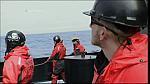 whale wars 0319