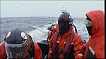 whale wars 0324