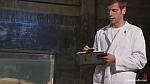 BOUNDGODS 0044