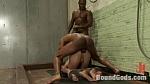 BOUNDGODS 0202