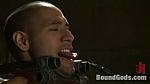 BOUNDGODS 0228