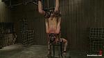 BOUNDGODS 0390