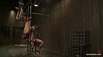 BOUNDGODS 0391