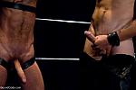 BOUNDGODS 0457