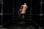 BOUNDGODS 0488