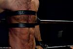 BOUNDGODS 0494