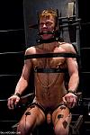 BOUNDGODS 0547