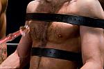 BOUNDGODS 0582