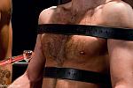 BOUNDGODS 0583