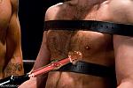 BOUNDGODS 0584