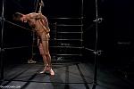 BOUNDGODS 0605