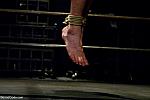 BOUNDGODS 0643