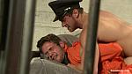 BOUNDGODS 736