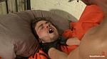 BOUNDGODS 740