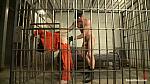 BOUNDGODS 749