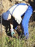 Boy Workers 021