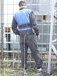 Boy Workers 070