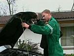 garage 011